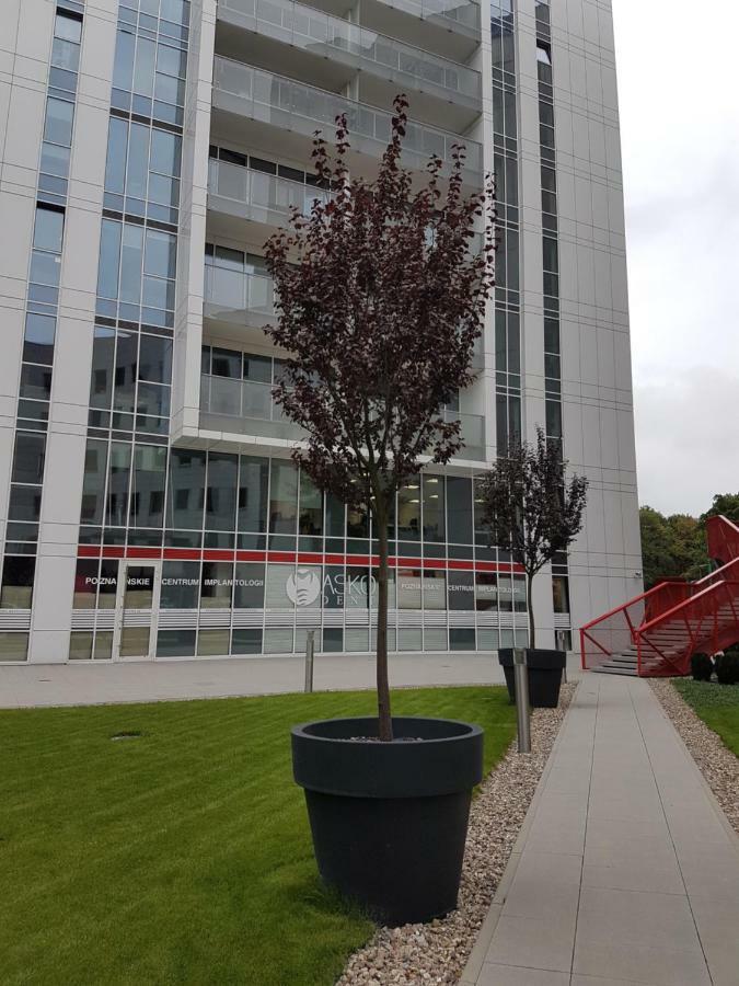 Apartament Towarowa 37 Poznań Exteriör bild