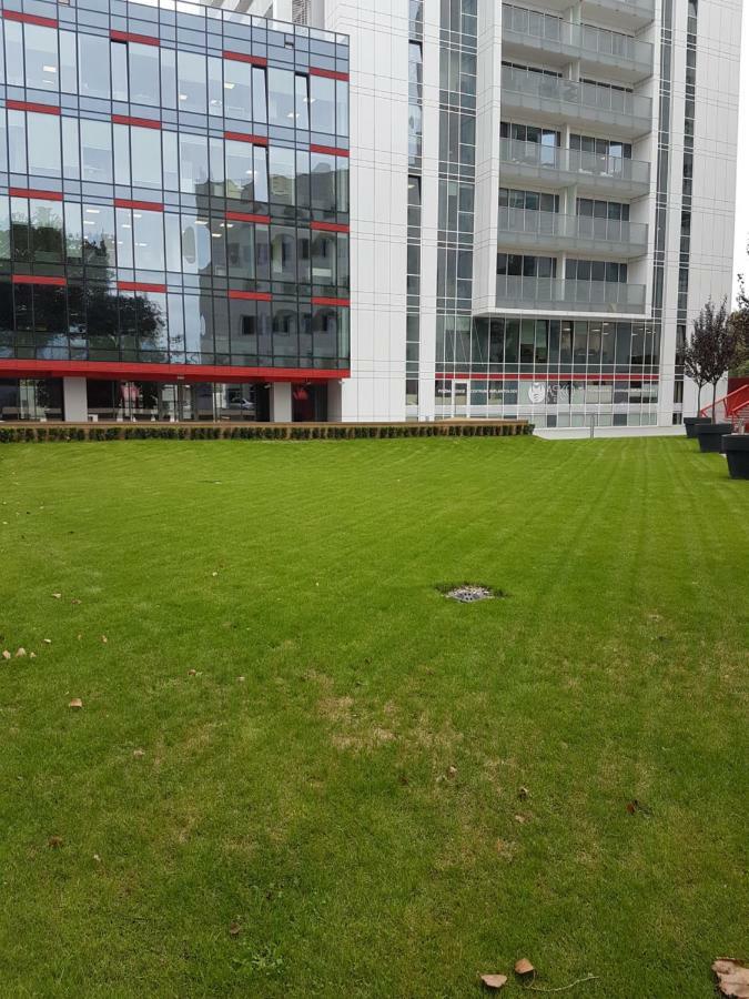 Apartament Towarowa 37 Poznań Exteriör bild